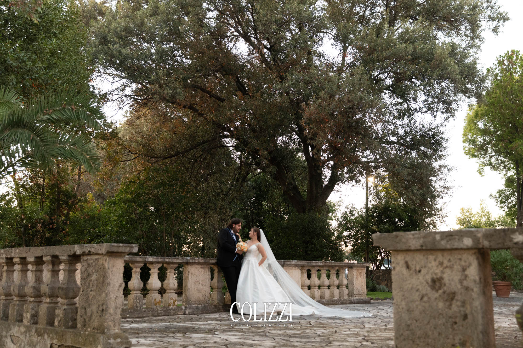 50322728321_5f1eba2de8_o