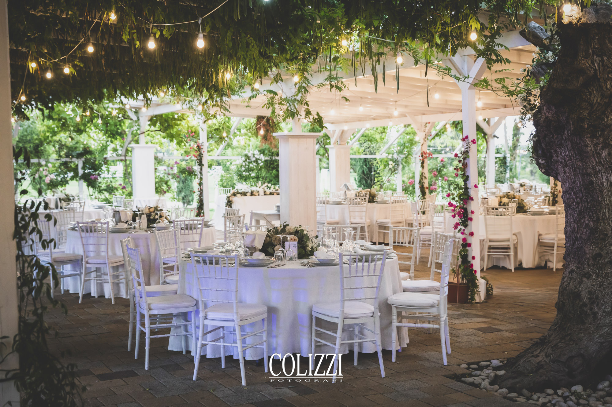 52459819017_2296a9f499_o