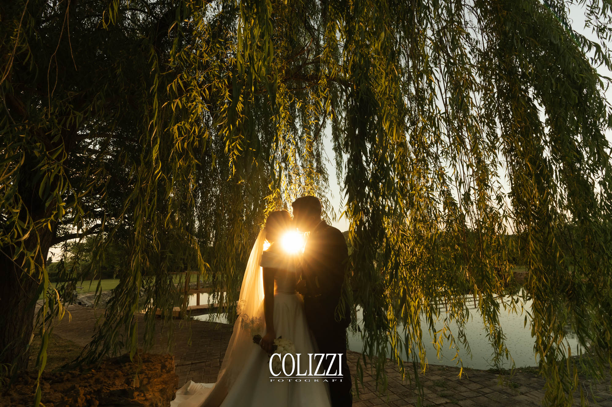 53896354348_bf713e6f41_o