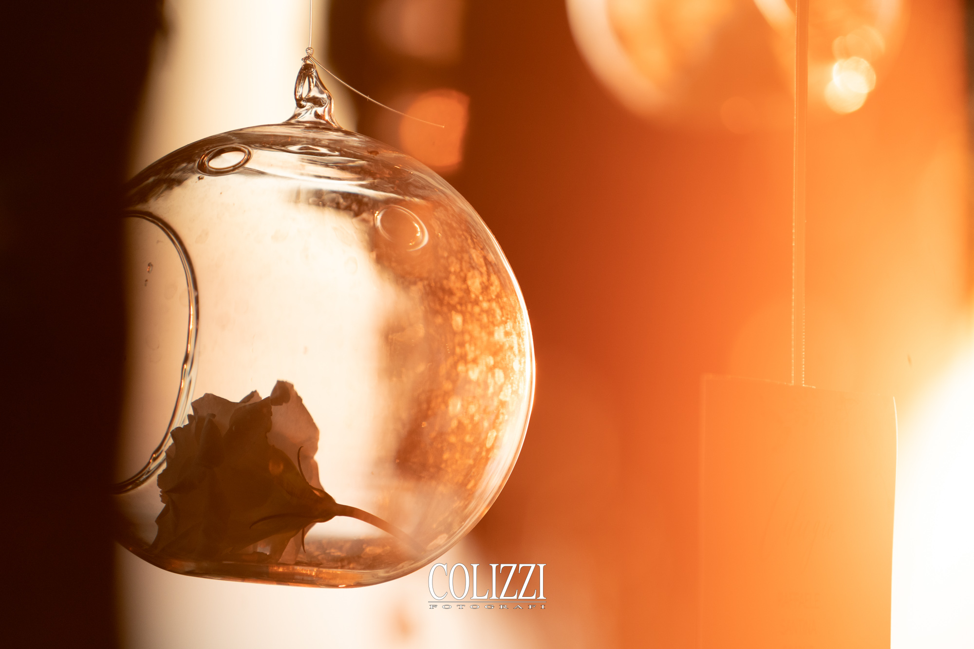 51789790824_0d01b8a437_o