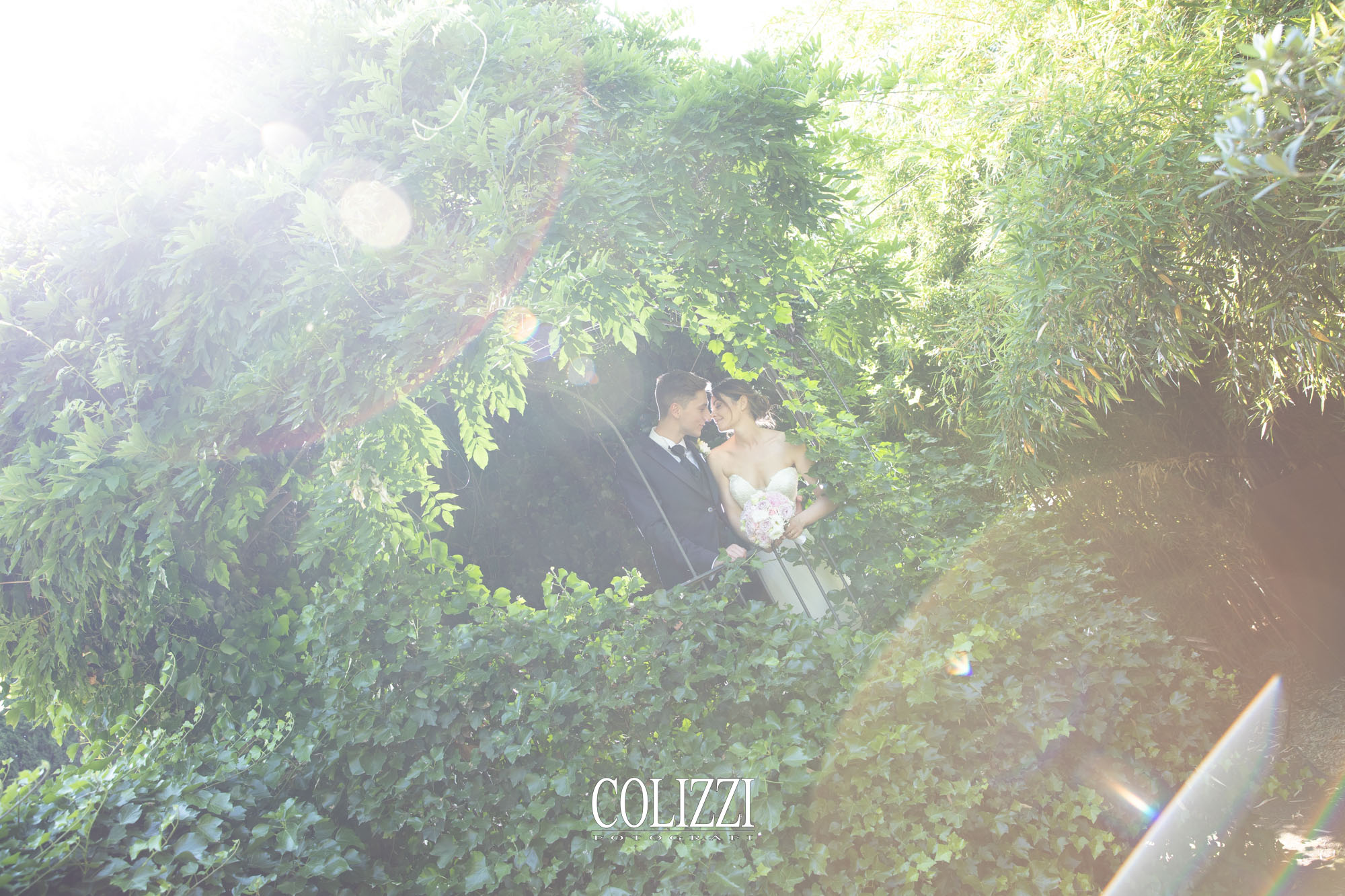 51869510188_66e18ee103_o